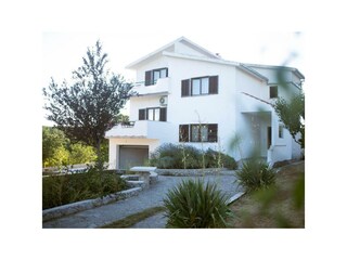 Ferienhaus Glavina Gornja Außenaufnahme 15