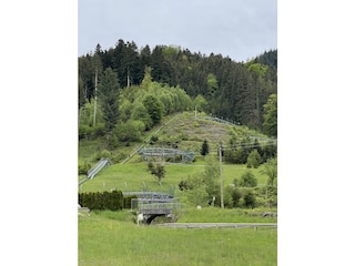 Sommerrodelbahn Gutach