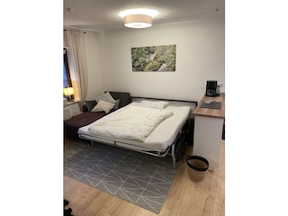 Schlafsofa - Liegefläche