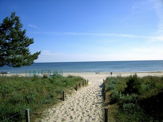 Appartement de vacances Binz Environnement 17