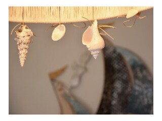 Vakantieappartement San Vincenzo Kenmerken 8