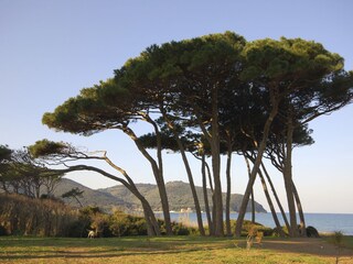 Vakantieappartement San Vincenzo Omgeving 19