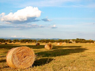 Appartamento per vacanze San Vincenzo Ambiente 20
