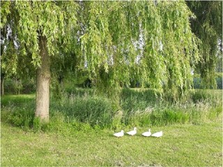 Appartamento per vacanze Middelburg Registrazione all'aperto 11