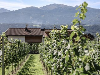 Ausblick im Weingarten