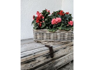 Blumen im Haus Isser in Thaur