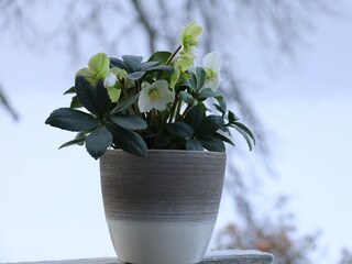 Winter in Tirol am Bauernhof Tulfes