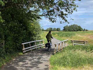 Fattoria Schoorl Ambiente 21