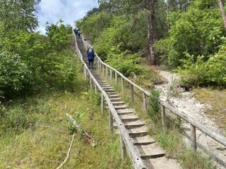 Fattoria Schoorl Ambiente 22