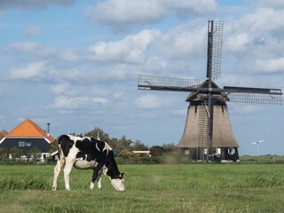 Fattoria Schoorl Ambiente 23