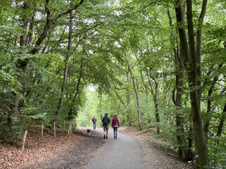 Fattoria Schoorl Ambiente 24