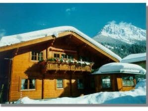 Appartamento Chalet in legno Hiller Kleinarl App. 3-6 Pers. - Kleinarl - image1