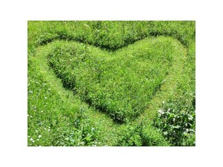 Appartamento Kleinarl Registrazione all'aperto 8