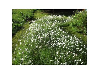 Appartamento Kleinarl Registrazione all'aperto 9