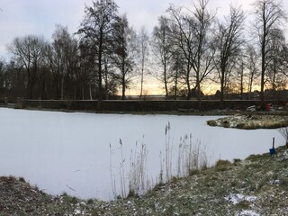 Der zugefrorene Teich mit der Wintersonne