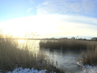 Der zugefrorene Peenestrom - 500 m entfernt