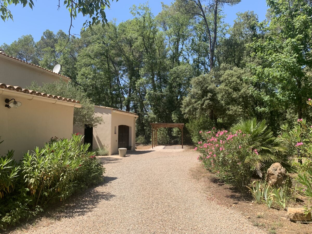 Auffahrt mit Carport