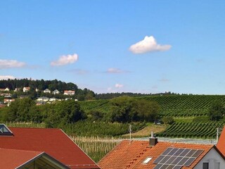 Vakantieappartement Kressbronn am Bodensee Buitenaudio-opname 4