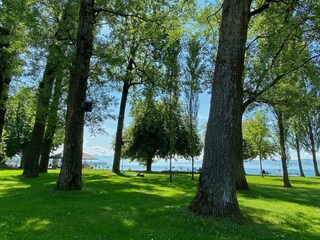 Vakantieappartement Kressbronn am Bodensee Omgeving 24