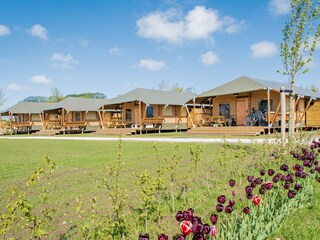 Vakantiehuisje Westerland (Wieringen) Buitenaudio-opname 2
