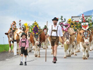 pension_luggi_almabtrieb_alpbachtal_urlaub