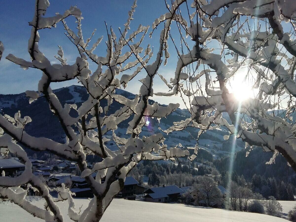 Winterlandschaft