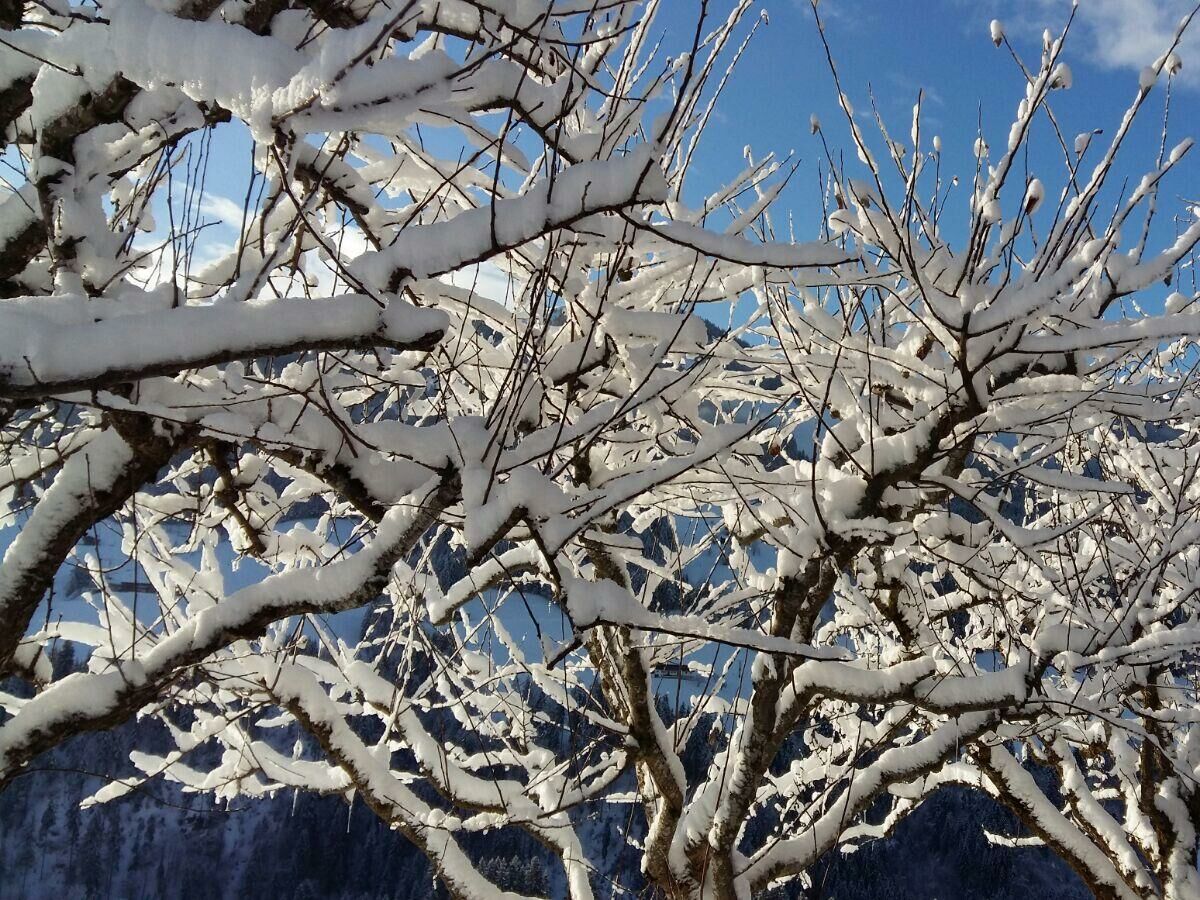 Winterlandschaft