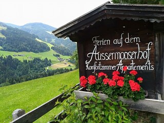 36609912_10209263475903575_3822229896520794112_n