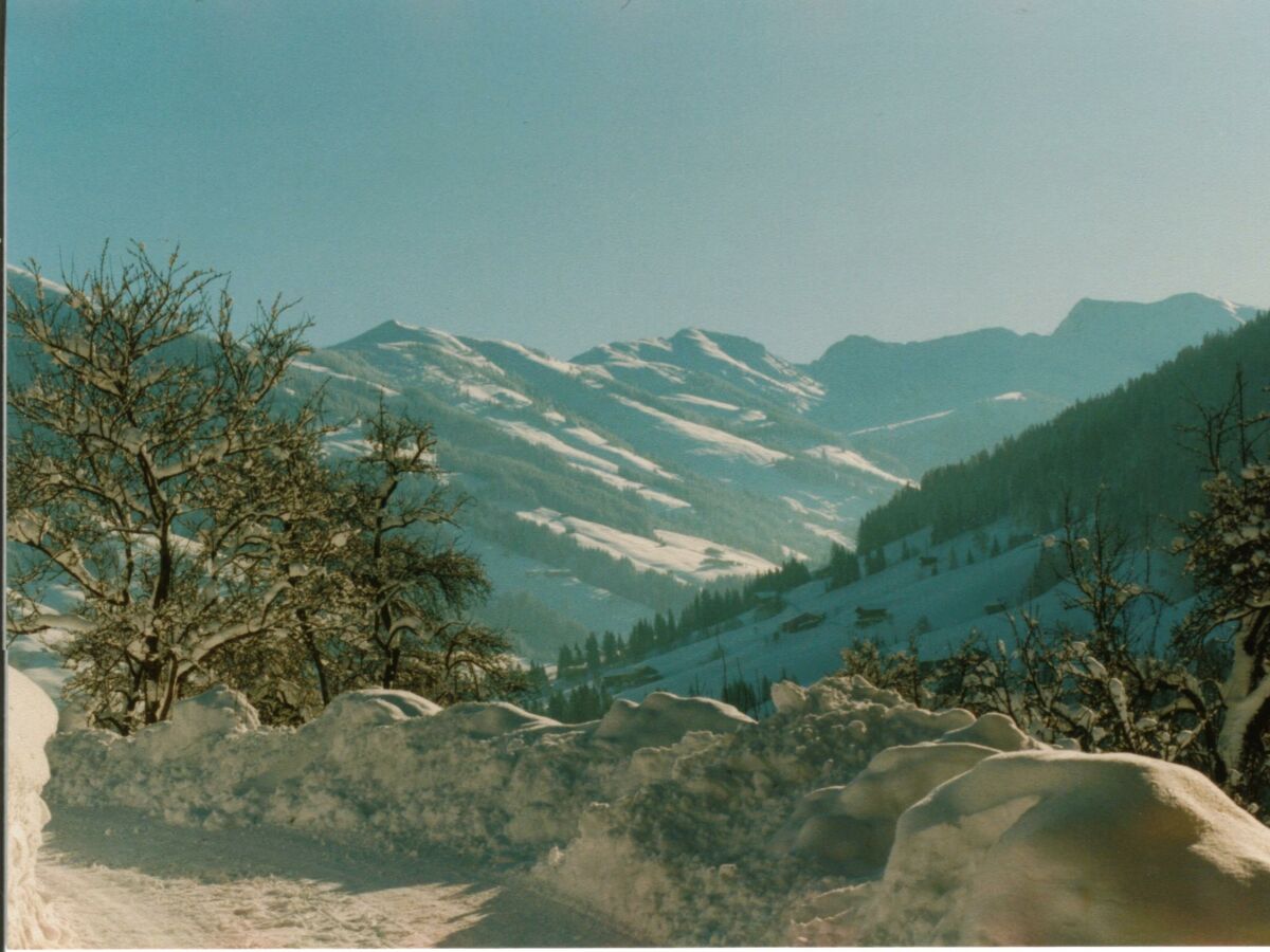 Winter Ausblick