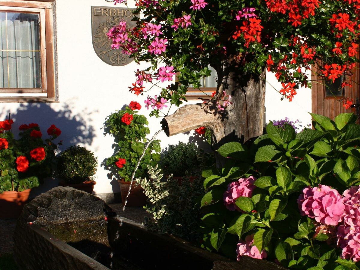 Blumenpracht beim Gruberhof