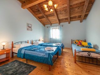 Casa per le vacanze Šišan Caratteristiche 24