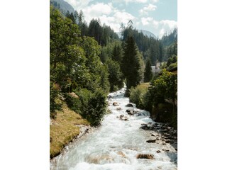Casa per le vacanze Bad Gastein Ambiente 38