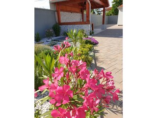 Villa Marčana Registrazione all'aperto 7