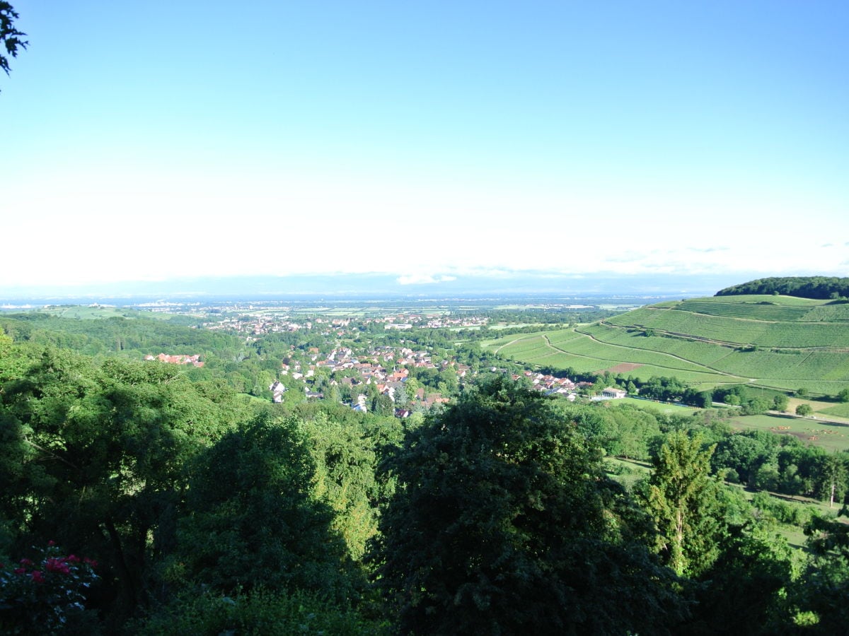 Blick über Niederweiler in die Rheinebene