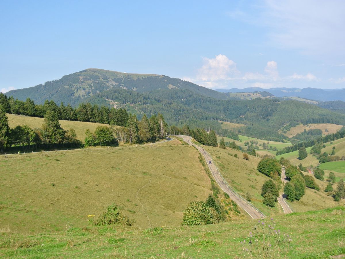 Wandern auf den Höhen des Schwarzwaldes