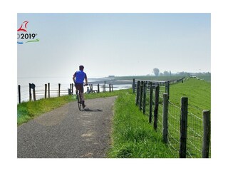 Vakantiehuis Scharendijke Omgeving 27