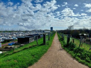 Casa per le vacanze Scharendijke Ambiente 28