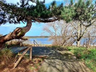Ferienhaus Scharendijke Umgebung 29