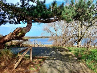 Holiday house Scharendijke Environment 29