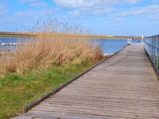 Casa per le vacanze Scharendijke Ambiente 31