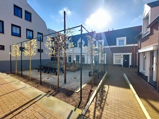 Ferienhaus Scharendijke Außenaufnahme 6