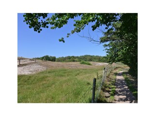 Villa Burgh-Haamstede Environment 22