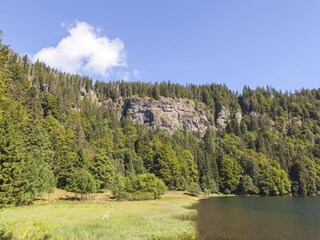 Feldsee Feldseewand Felsen Natur