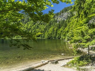 Feldsee Ufer Sommer Natur Wasser