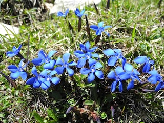 Holiday apartment Aschau im Chiemgau Features 25