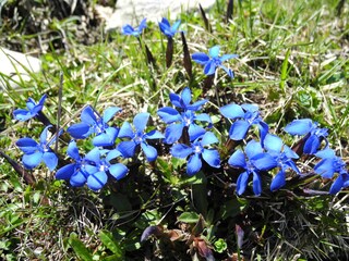 Vakantieappartement Aschau im Chiemgau Kenmerken 25
