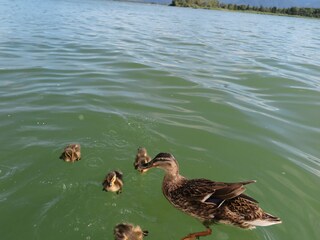 Vakantieappartement Aschau im Chiemgau Kenmerken 33