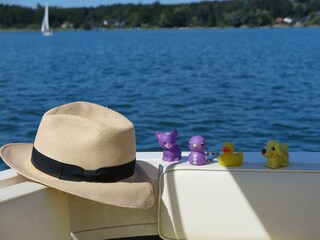 Appartement de vacances Aschau im Chiemgau Équipement 30
