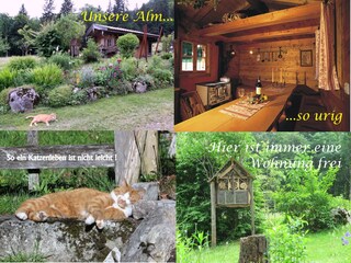 Apartamento de vacaciones Aschau im Chiemgau Entorno 32