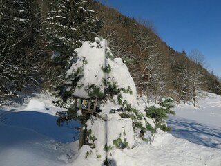 Apartamento de vacaciones Aschau im Chiemgau Entorno 39